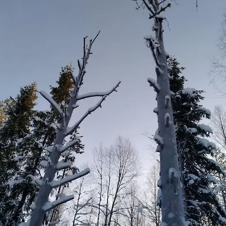 Casa De Okko. House In The Heart Of Lapland Willa