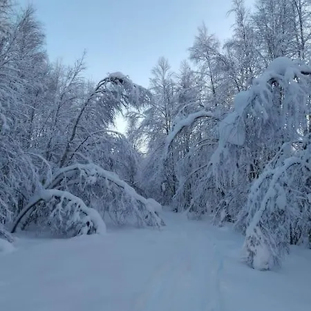 Casa De Okko. House In The Heart Of Lapland *