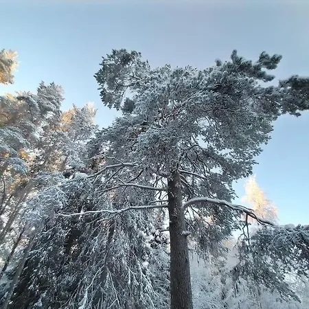 Вилла Casa De Okko. House In The Heart Of Lapland *